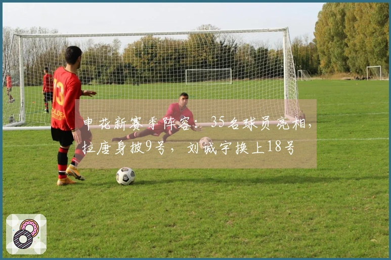 申花新赛季阵容：35名球员亮相，拉唐身披9号，刘诚宇换上18号